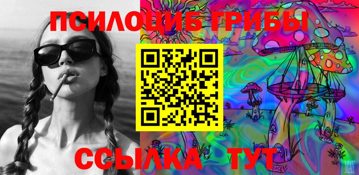 Галлюциногенные грибы Psilocybine cubensis  Галлюциногенные грибы мицелий  Вход с VPN  Бердск 